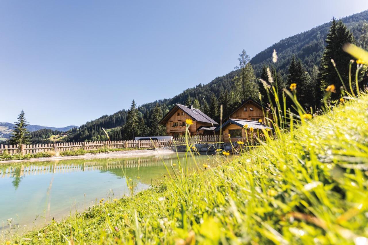 Bergseegut Chalet Und Apartment Wagrain Ngoại thất bức ảnh