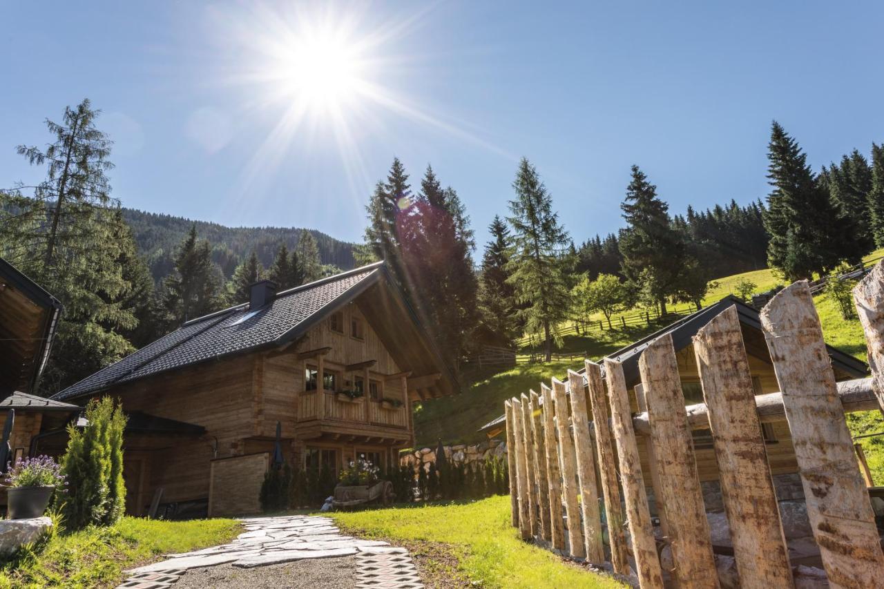 Bergseegut Chalet Und Apartment Wagrain Ngoại thất bức ảnh