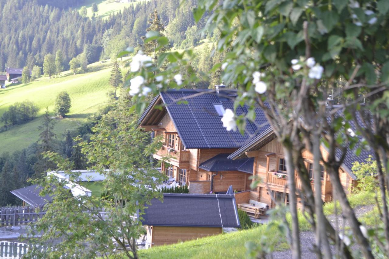 Bergseegut Chalet Und Apartment Wagrain Ngoại thất bức ảnh